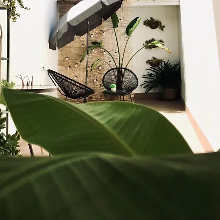 Apartamentos Elite - Art Collection - Frida Merida Exterior photo